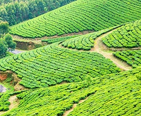 kerala