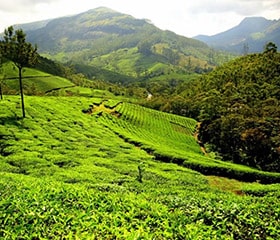 Kerala