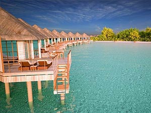 Drift Thelu Veliga Retreat