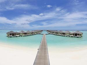Paradise Resort
